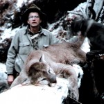 Sean Yutzy Lion 1