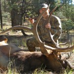 ELK