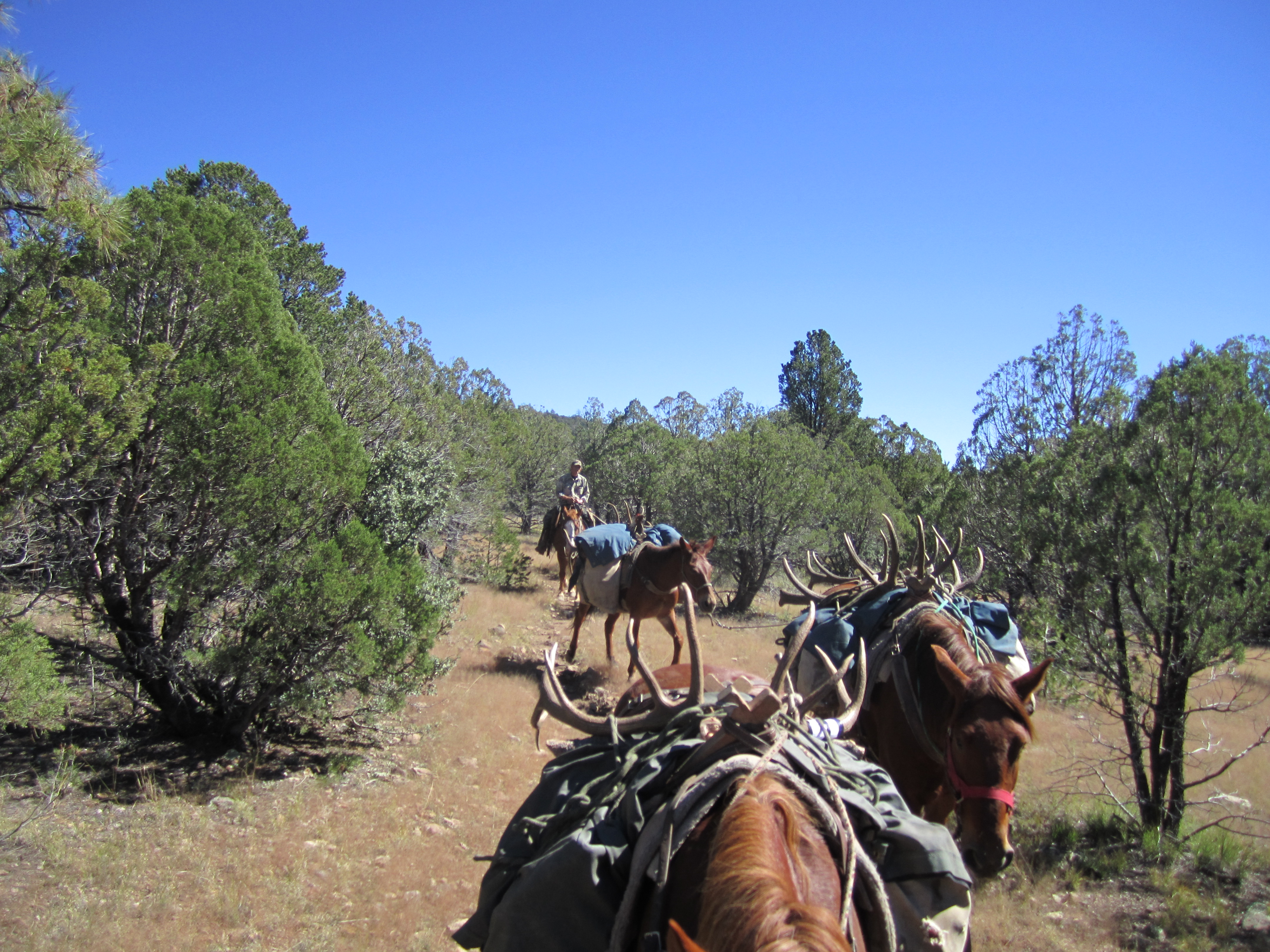 NEW MEXICO APPLICATION DEADLINE MARCH 18 2015 Gary Webb Guide 
